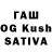 Галлюциногенные грибы Psilocybine cubensis Algos Official