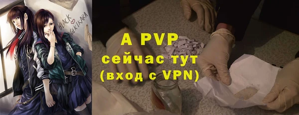 индика Верхнеуральск