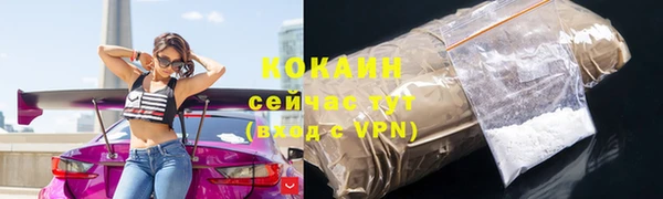 шишки Верхний Тагил