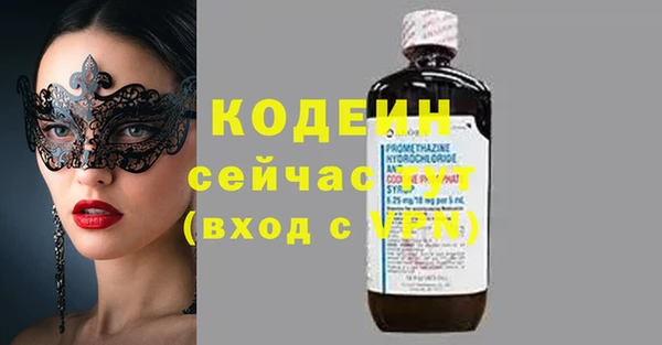 шишки Верхний Тагил